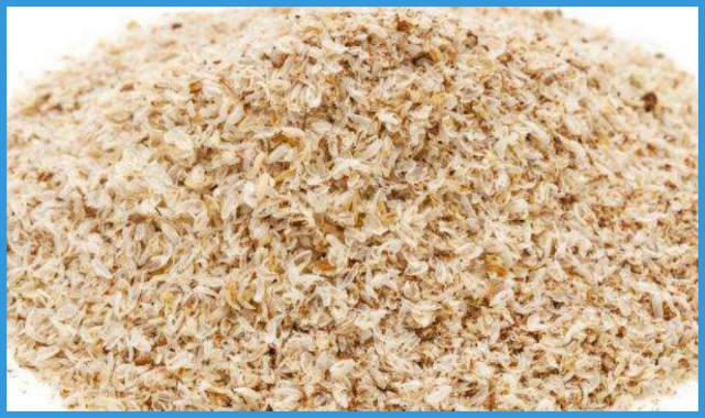 hierbas para el estreñimiento psyllium