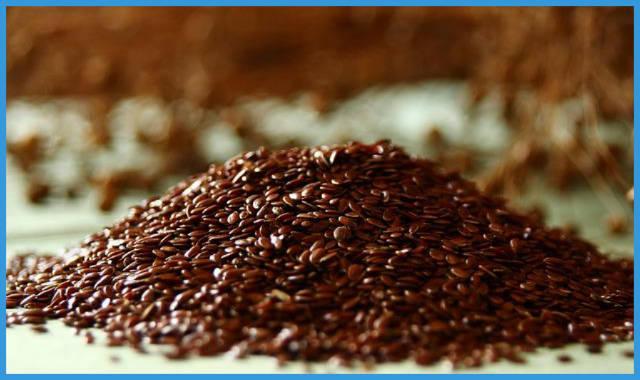 hierbas para quitar el estreñimiento linaza