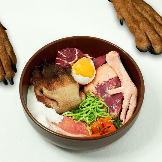 alimentación de los perros