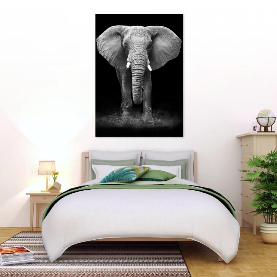 Cuadro elefante de noche