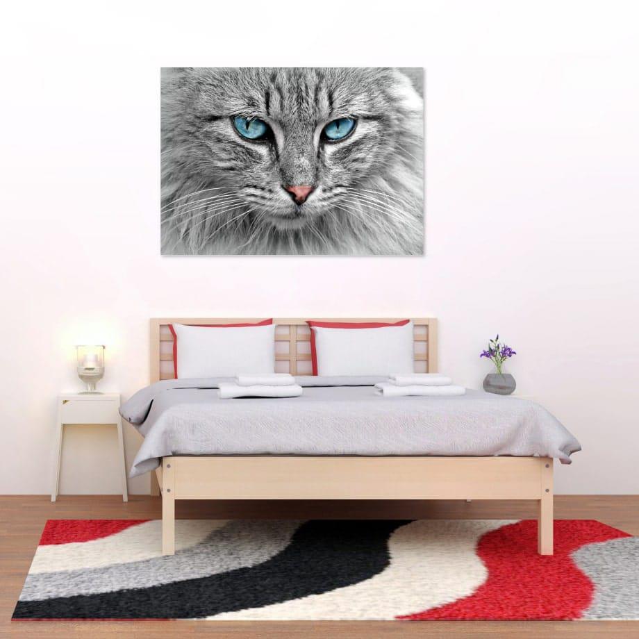 Decoración de un cuarto