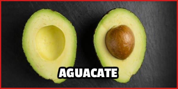 Los Aguacates son ricos en proteínas y grasas saludables
