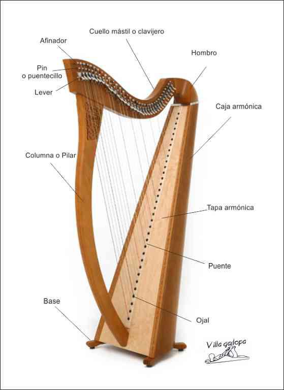 dibujo del arpa