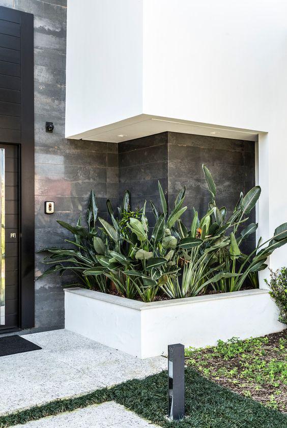 Decoración de entradas con plantas