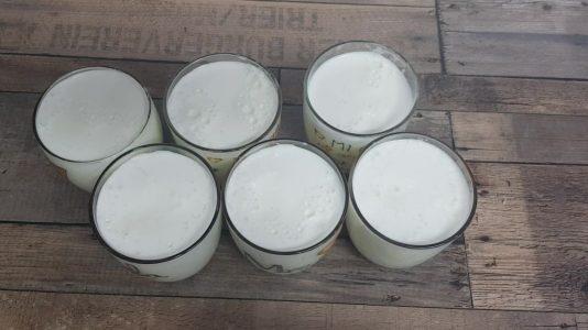 Yogur en freidora de aire 9 en 1 silvercrest