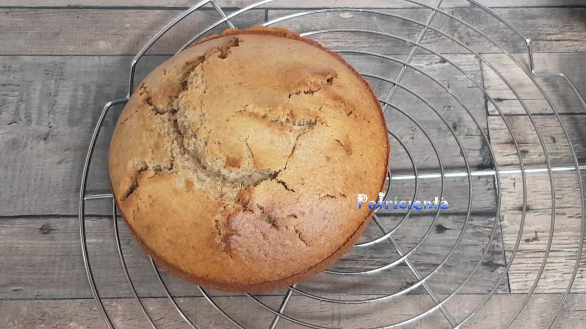 Bizcocho sin azúcar en freidora de aire 9 en 1 de Lidl apto para bebés . Patricienta Cook