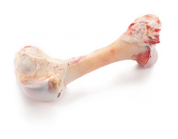 femur de vaca