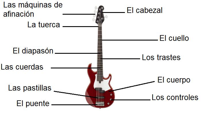 caracteristicas del bajo