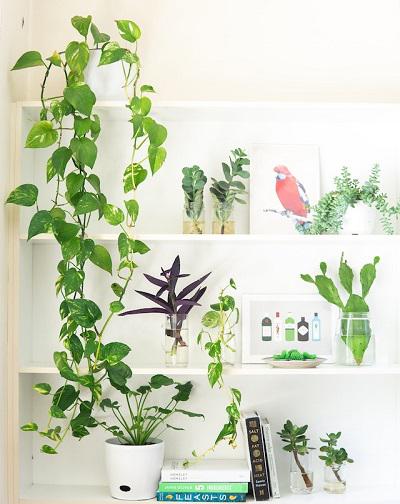 La mejor manera de decorar tu dormitorio es respetar unos criterios mínimos de distribución, dependiendo del tamaño de la habitación, la distribución y orientación de la puerta y la ventana, si tiene armarios empotrados, etc., pero lo más importante es que sea un lugar que invite a descansar y relajarnos.