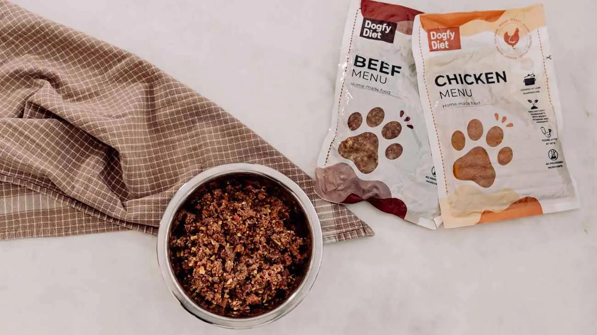 dogfy diet perros obesos