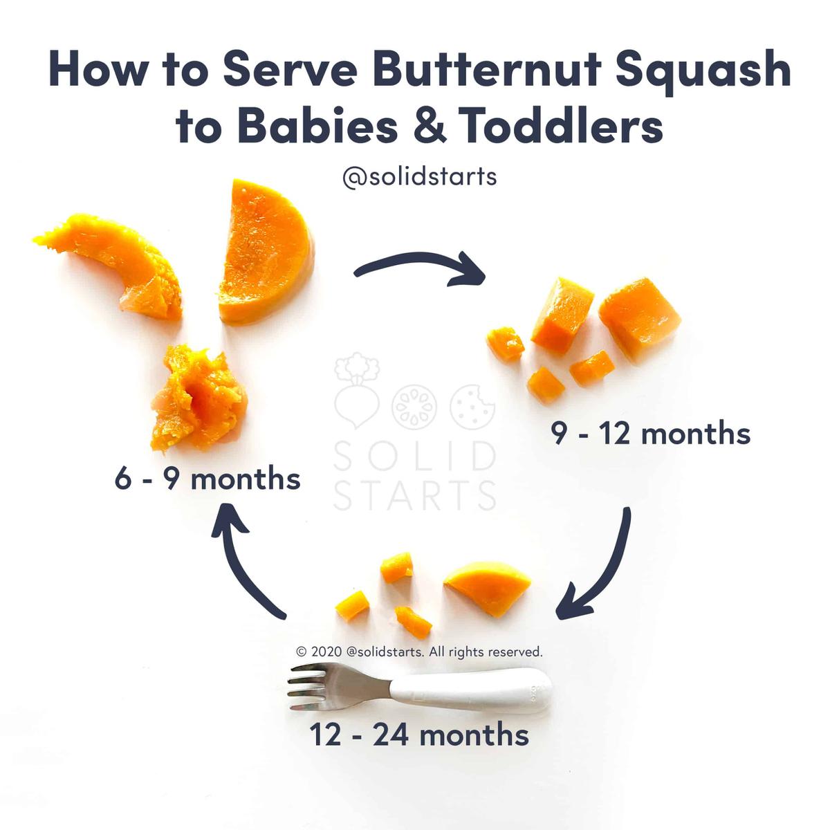 Butternut Squash for Babies-Serve Butternut Squash to Baby - Solid Starts