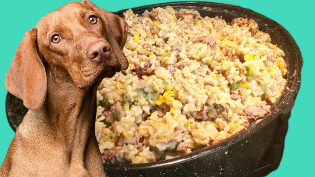 receta para engordar perros