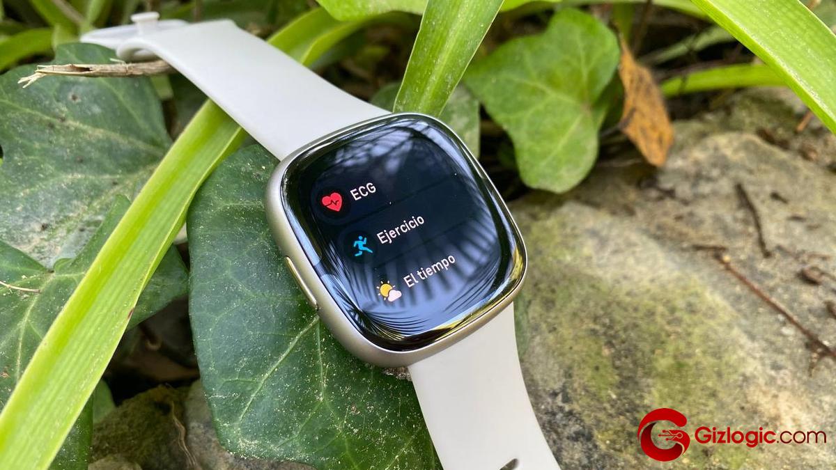 fitbit sense 2 analisis
