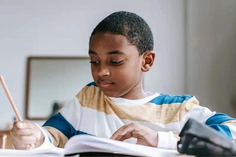 cerebro niño atención clasificación