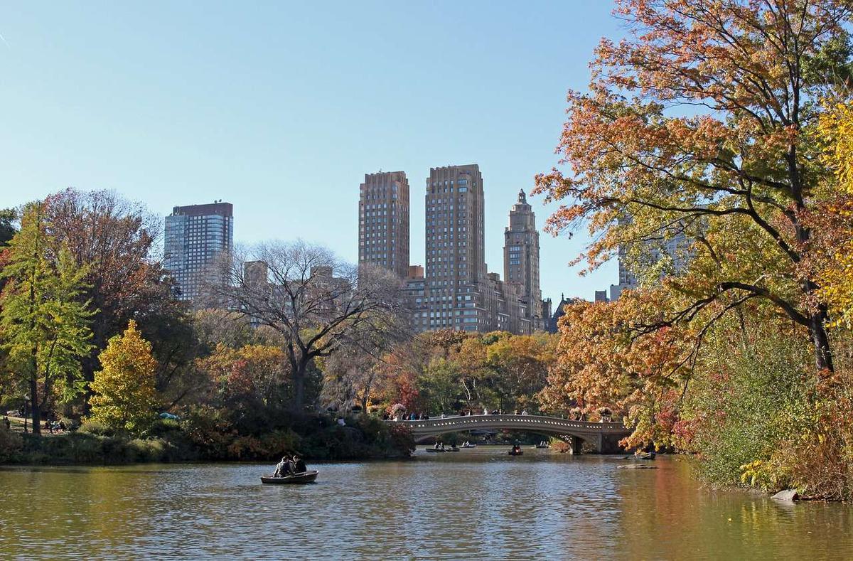 Central park guia de nueva york