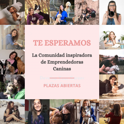 ads circulo