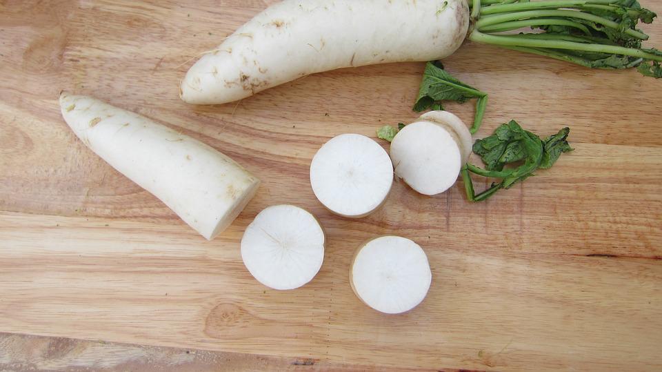 Remolacha Azucarera: Proceso, Cultivo y Diferencias 17