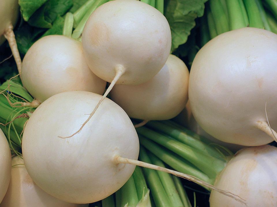 Remolacha Azucarera: Proceso, Cultivo y Diferencias 18