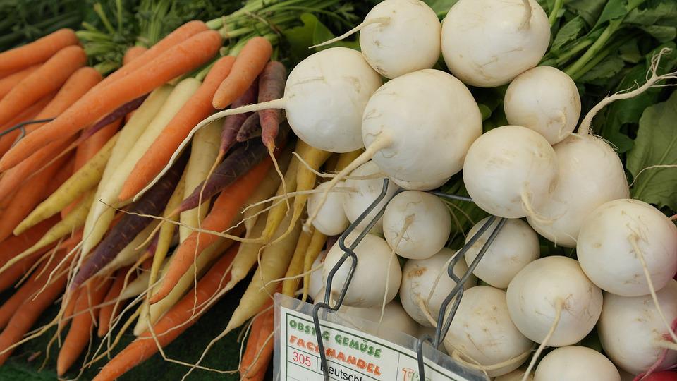 Remolacha Azucarera: Proceso, Cultivo y Diferencias 19