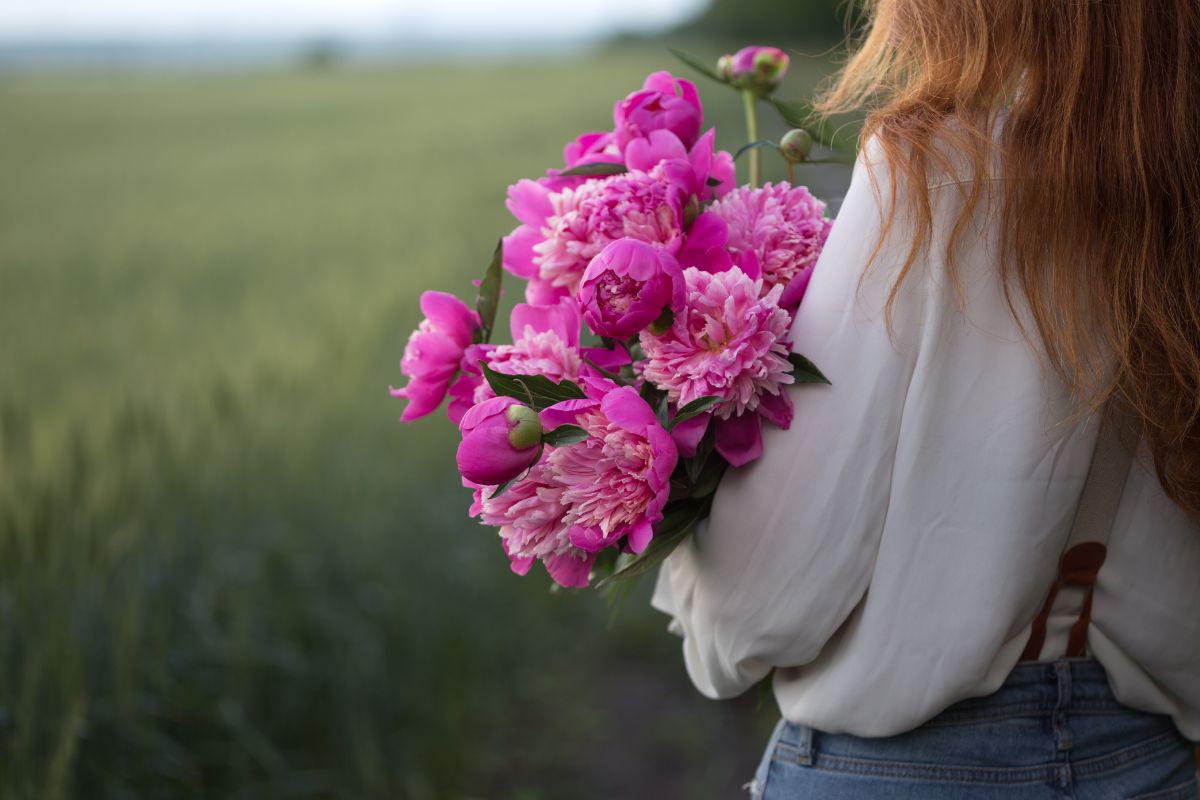 el poder de las flores