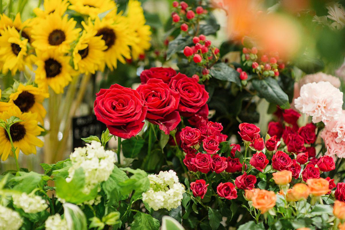 flores para la salud mental