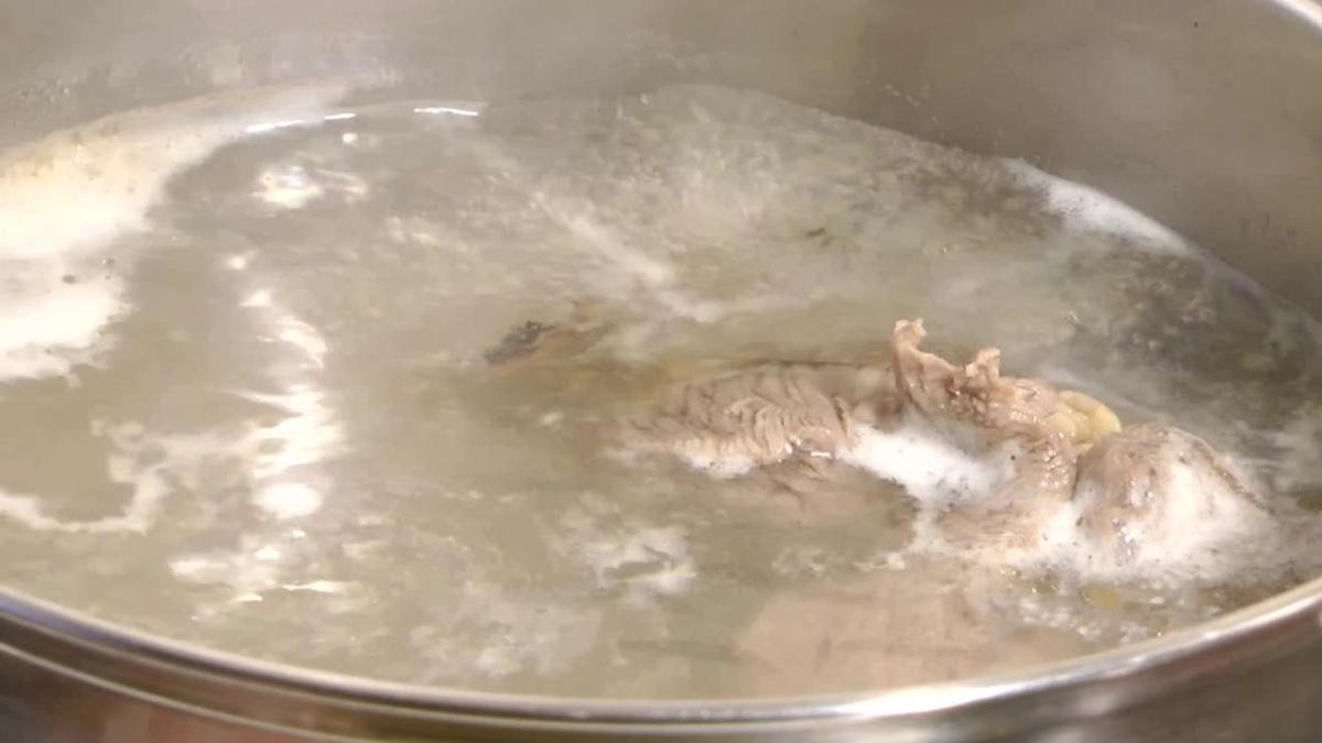 caldo pollo perros