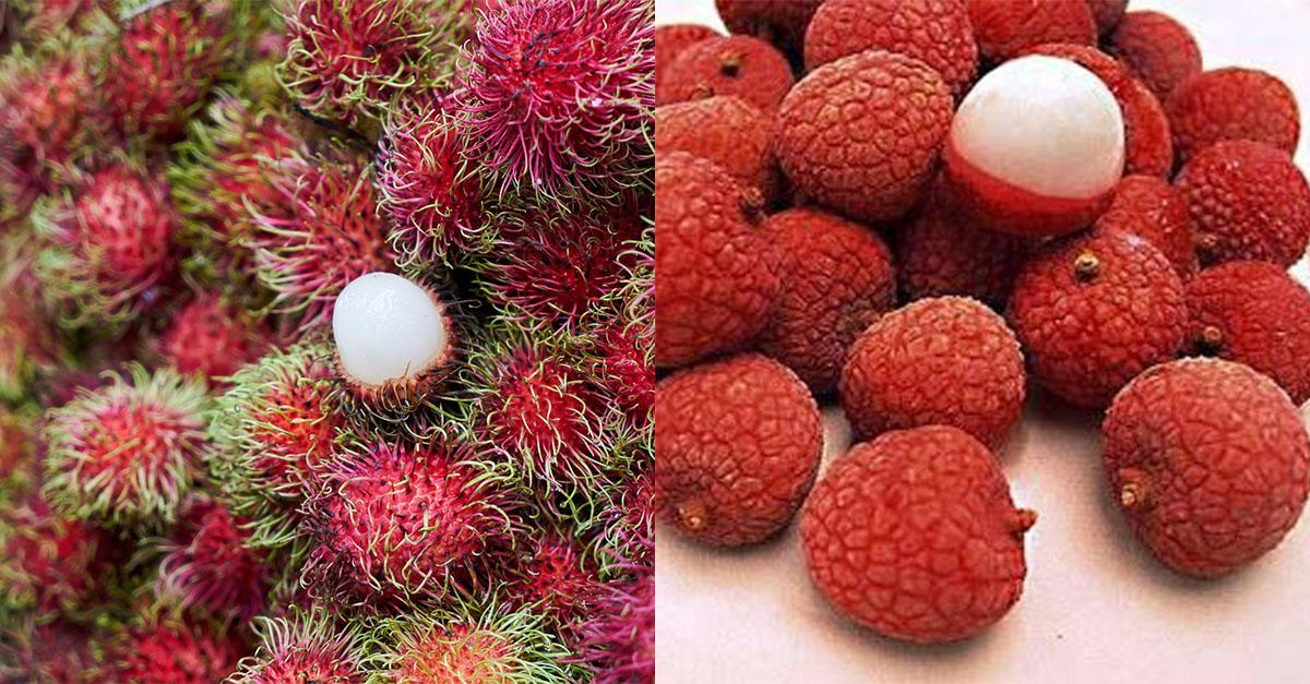 Lichi y Rambután: Diferencias entre frutas 3