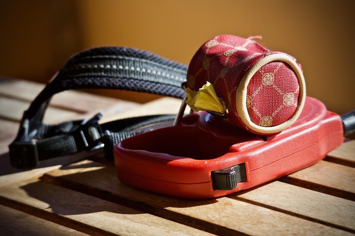 correas, collares de perro