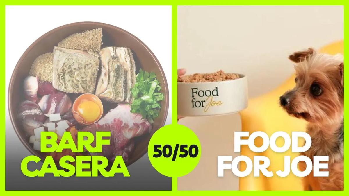 comida para perra embarazada