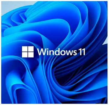 Lenovo IdeaPad 1 Gen 7 sistema operativo