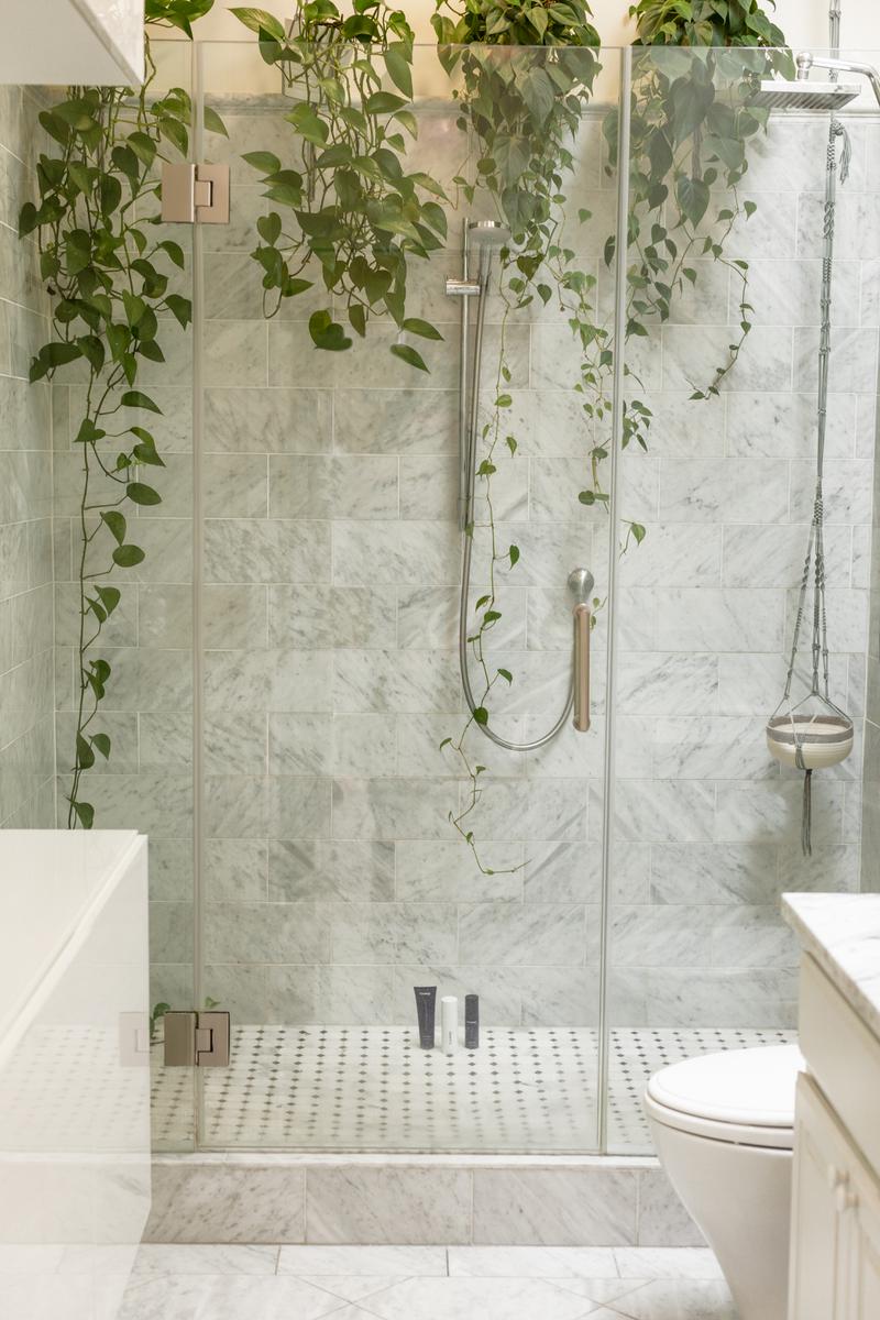 Plantas en el baño