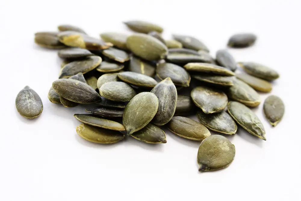 pipas de calabaza para perros