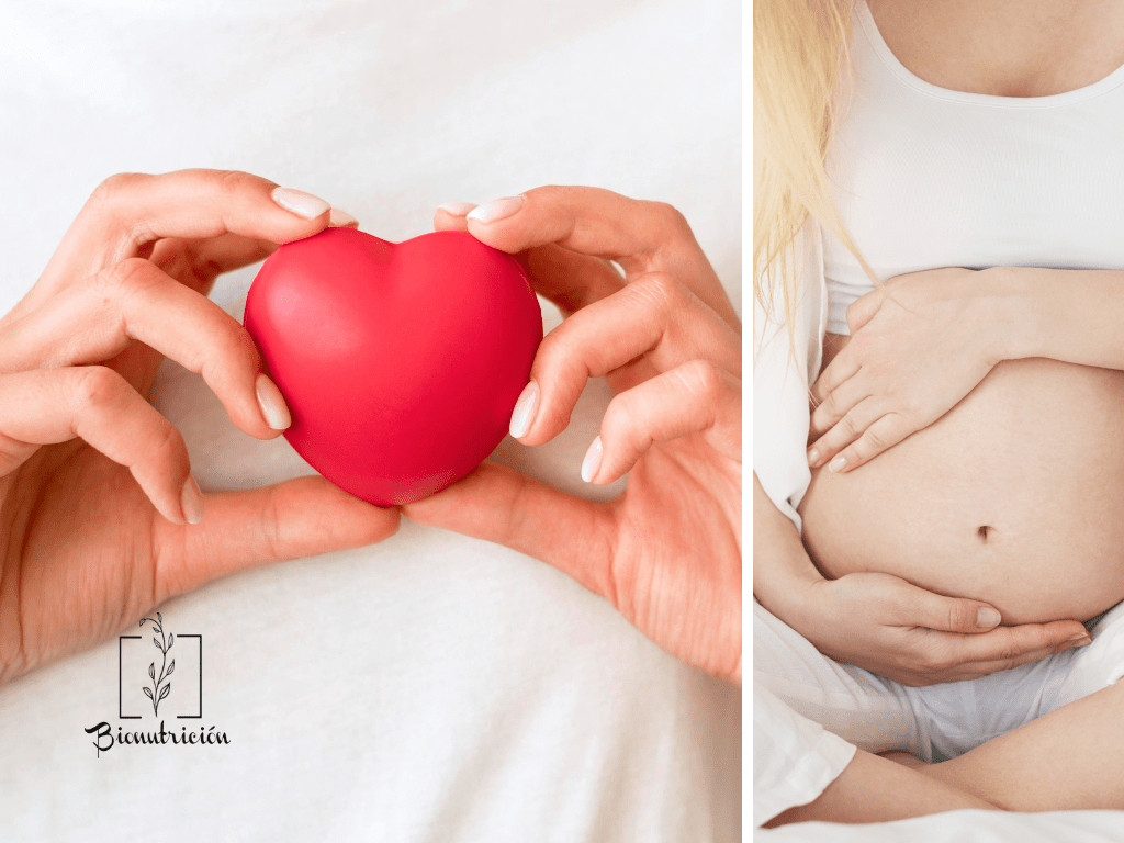 Salud cardiovascular- embarazo y vitamina B6-Beneficios de la vitamina B6-Bionutricion Ortomolecular