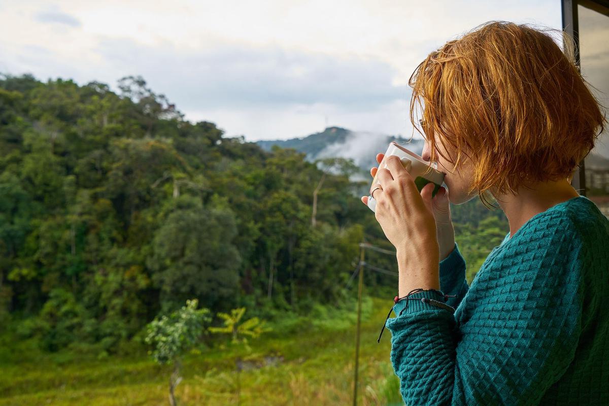 mujer tomando café y mirando un bosque