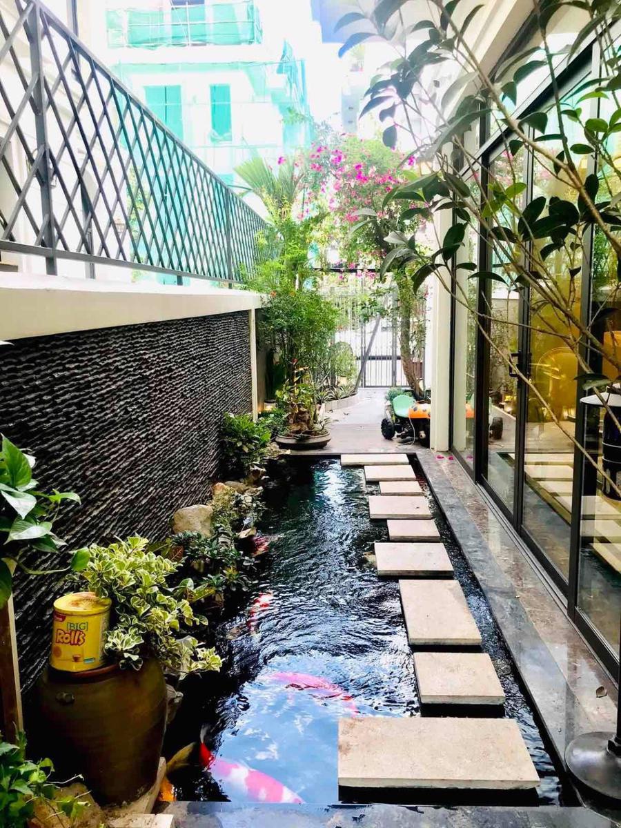 Ideas para transformar tu patio lateral olvidado en un hermoso oasis