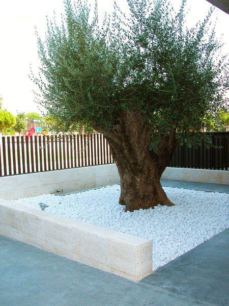 Maceteros para jardín con piedras blancas