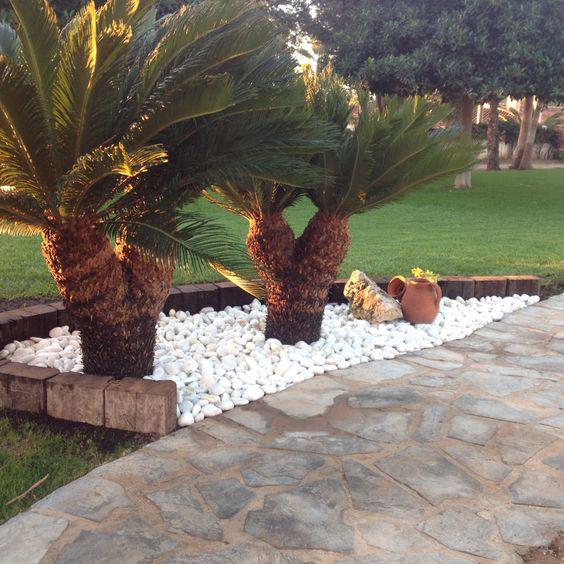 Maceteros para jardín con piedras blancas