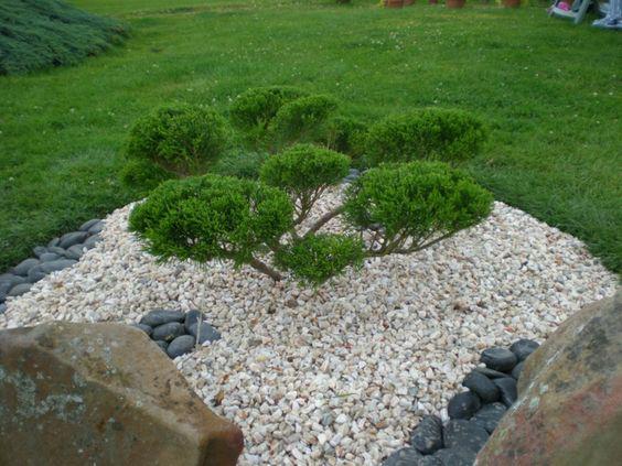 Círculos concéntricos de piedra blanca para jardines