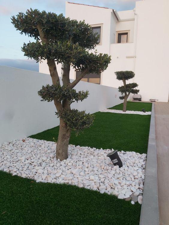 Ideas de jardines con piedras blancas y plantas