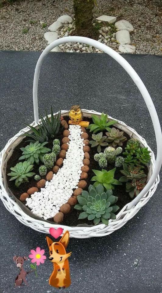 Terrarios con suculentas para interiores