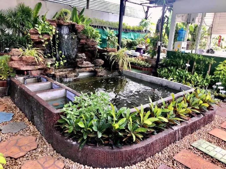 Increíbles ideas para un jardín acuático, un rincón fresco y relajante