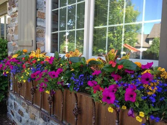 Jardineras de petunias