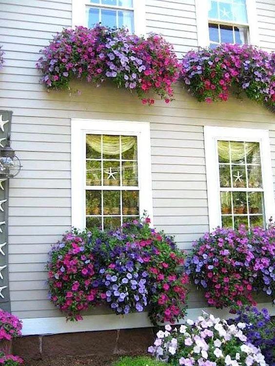 Entradas de casas decoradas con petunias