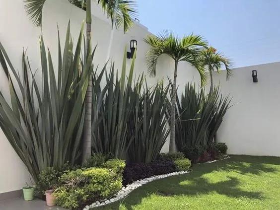 Ideas para crear un hermoso jardín lateral
