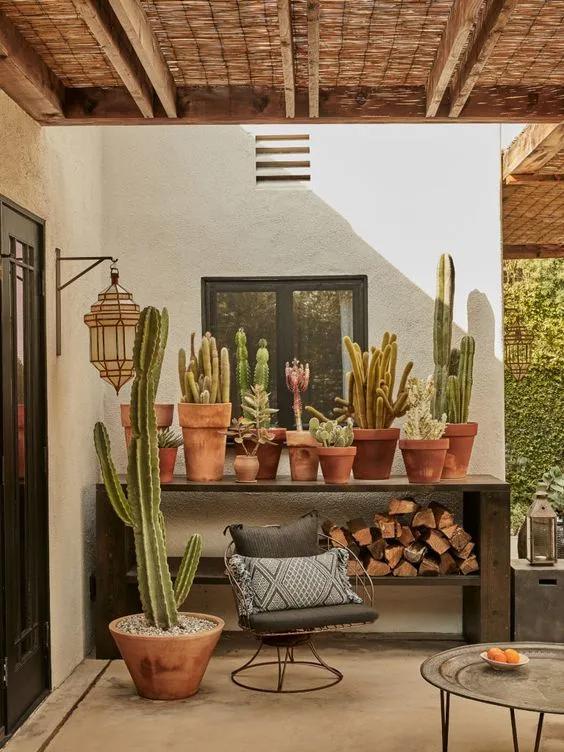 Vegetación para diseñar un jardín boho