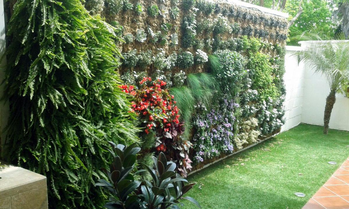 Ideas para crear un jardín vertical en la terraza 5