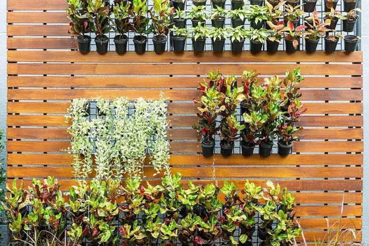 Ideas para crear un jardín vertical en la terraza 6