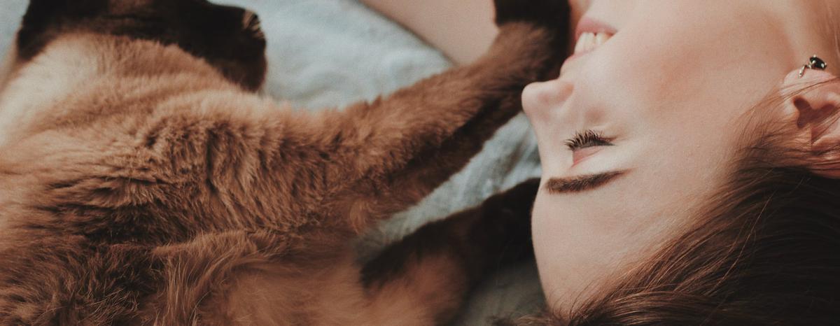 Beneficios de tener un gato para mejorar la salud