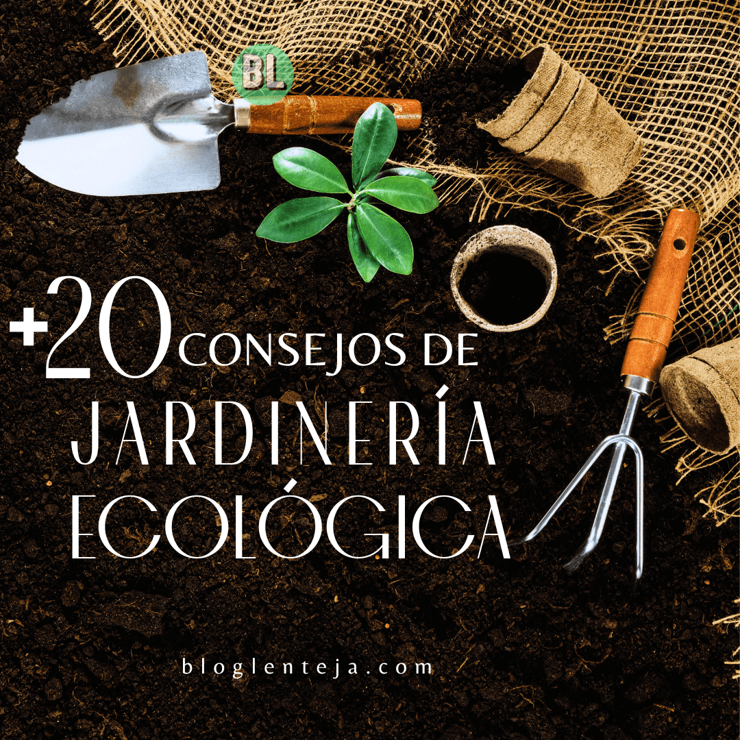 + 20 Consejos de Jardinería Ecológica