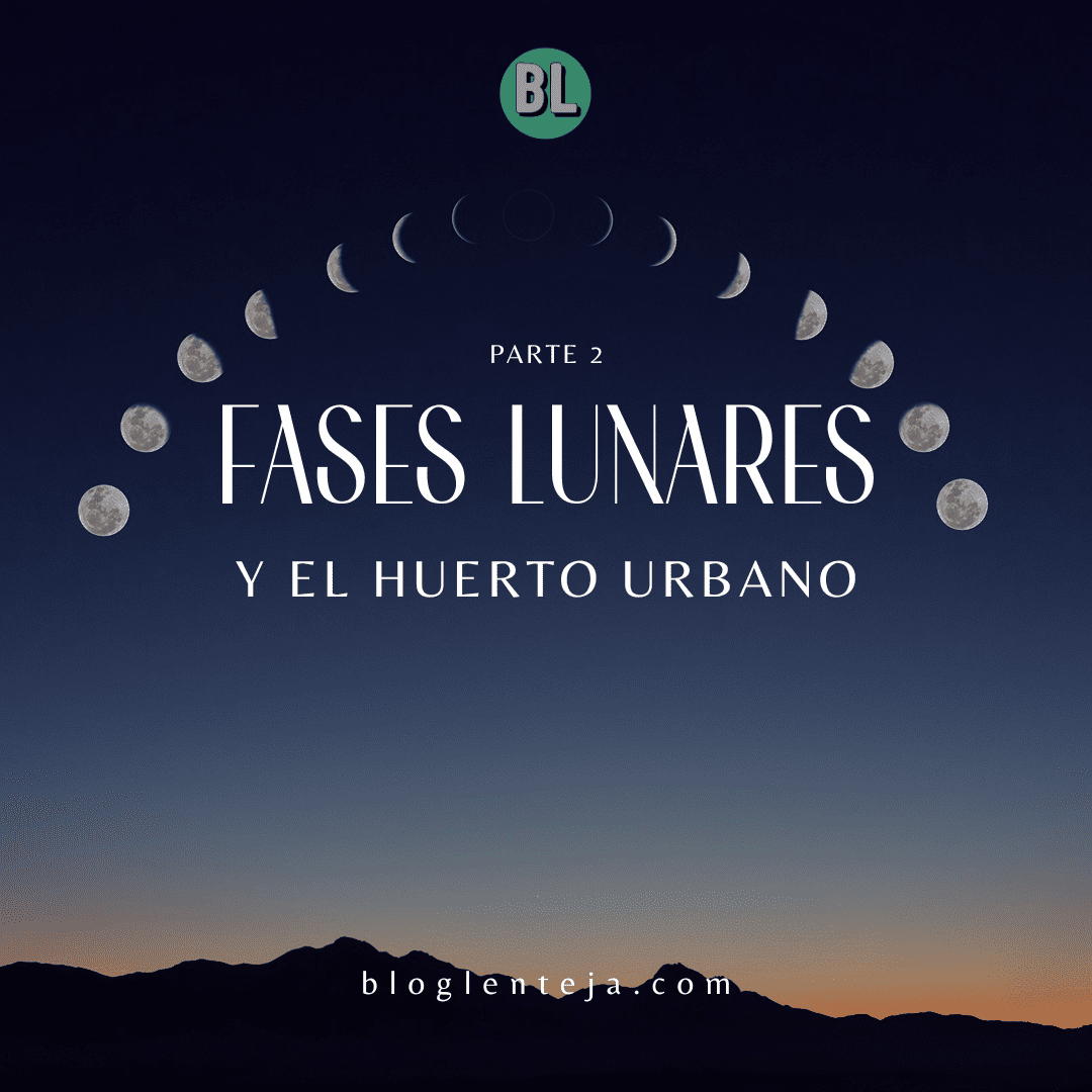 Fases Lunares y el Huerto Urbano – 2